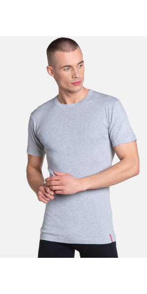 T-shirt for men Henderson 1495 Basik grey_J27E-image