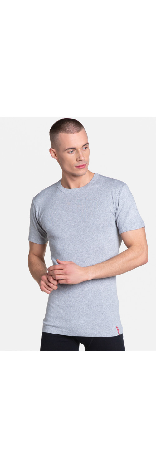 T-shirt for men Henderson 1495 Basik grey_J27E  XXL-0