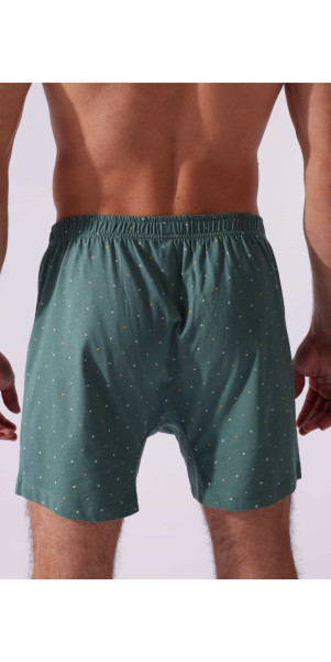 Underpants for men Naviale MU240-02 Yankee green-image