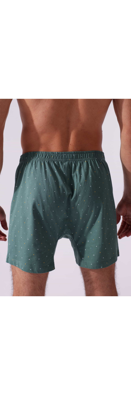 Underpants for men Naviale MU240-02 Yankee green  XL-1