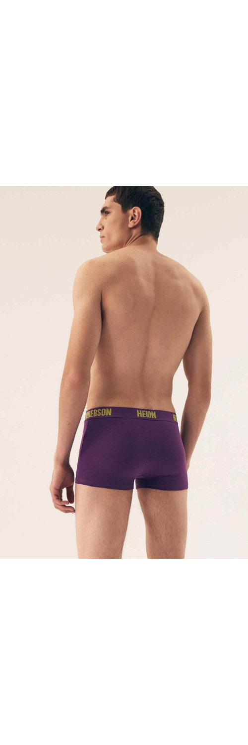 Underpants for men Henderson 42589 Spin lilac  L-1