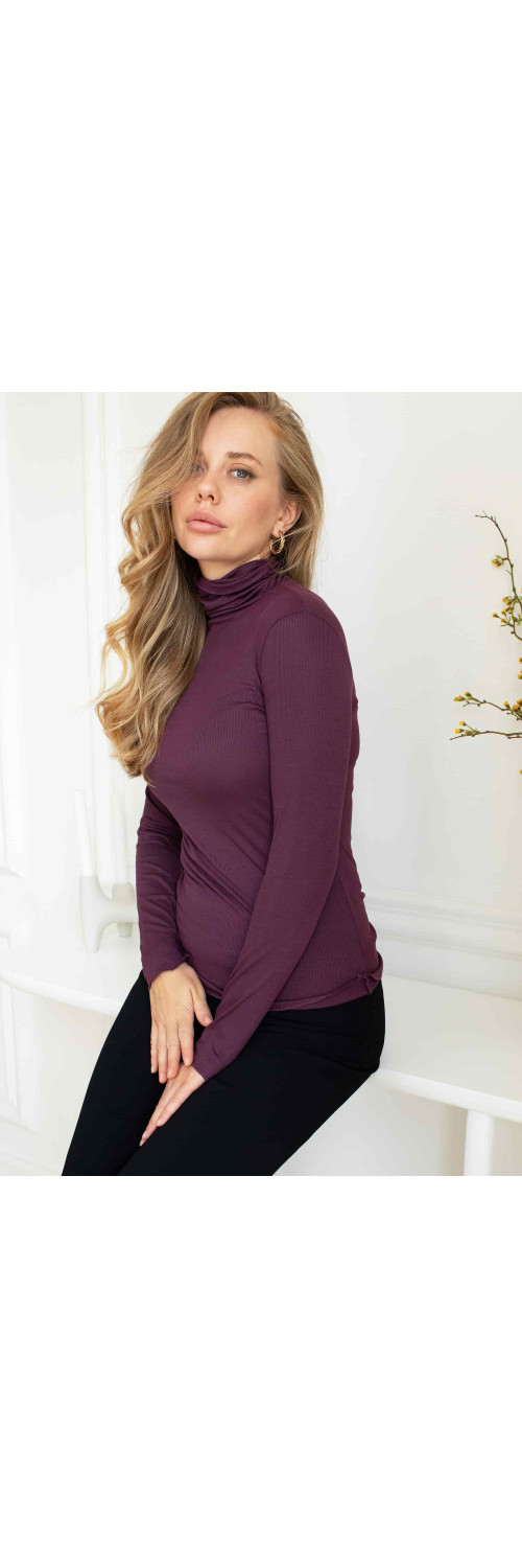 Longsleeve for women Kleo 3689 Barre violet  S-3