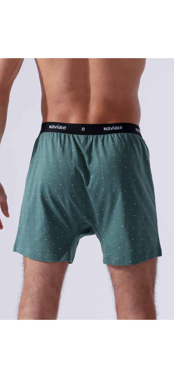 Underpants for men Naviale MU241-02 Whiskey green-image