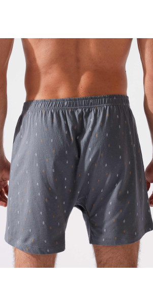 Underpants for men Naviale MU240-03 YANKEE Yankee grey-image