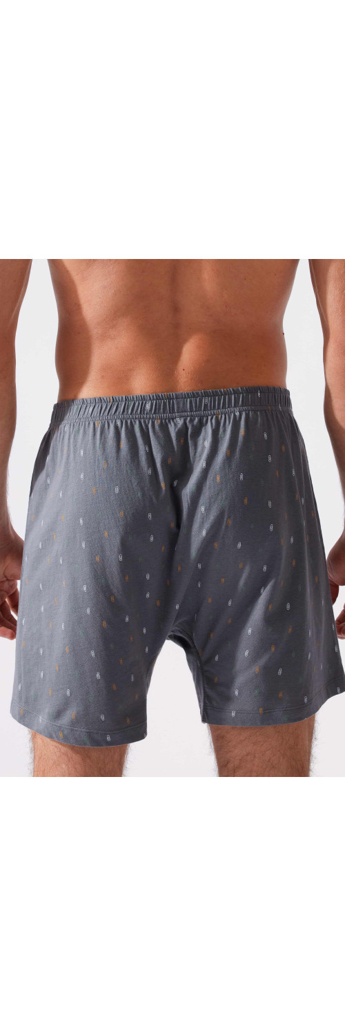 Underpants for men Naviale MU240-03 YANKEE Yankee grey  M-1