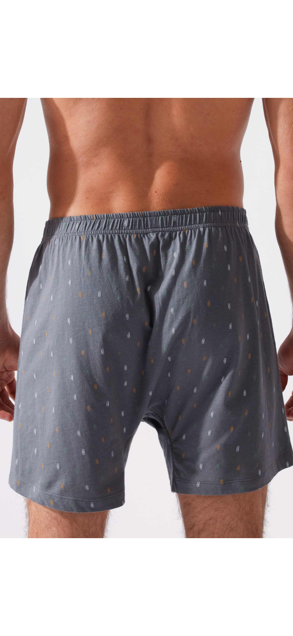 Underpants for men Naviale MU240-03 YANKEE Yankee grey-image