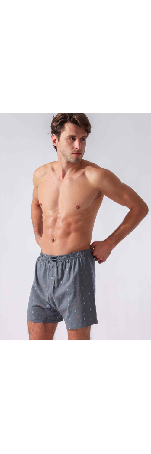 Underpants for men Naviale MU240-03 YANKEE Yankee grey  M-3