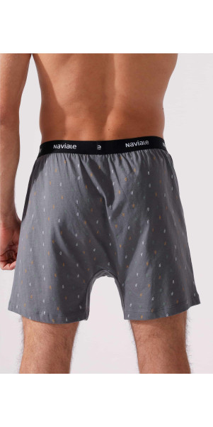 Underpants for men Naviale MU241-03 Whiskey grey-image