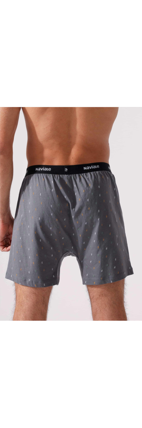 Underpants for men Naviale MU241-03 Whiskey grey  M-1