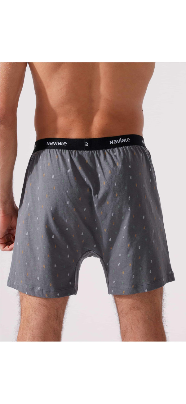 Underpants for men Naviale MU241-03 Whiskey grey-image