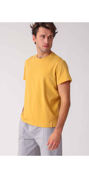 T-shirt for men Naviale MH320-04 Regular man charlie bronze ocher-image