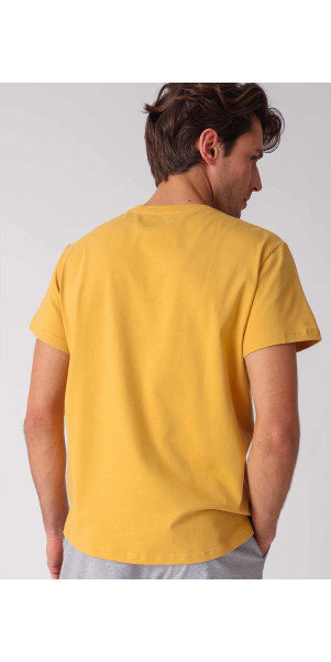 T-shirt for men Naviale MH320-04 Regular man charlie bronze ocher-image
