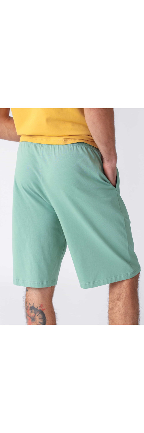 Shorts for men Naviale MH530-01 Jungle aqua  S-1