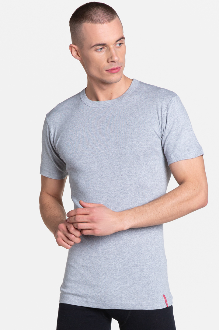 T-shirt for men Henderson 1495 Basik grey_J27E-image